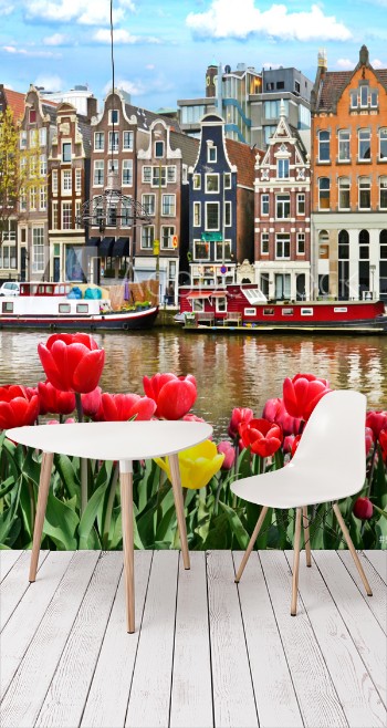Picture of Beautiful landscape with tulips and houses in Amsterdam Holland